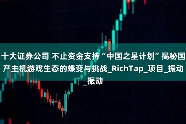 十大证券公司 不止资金支持“中国之星计划”揭秘国产主机游戏生态的蝶变与挑战_RichTap_项目_振动